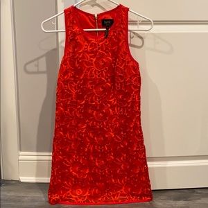 Sleeveless lace dress